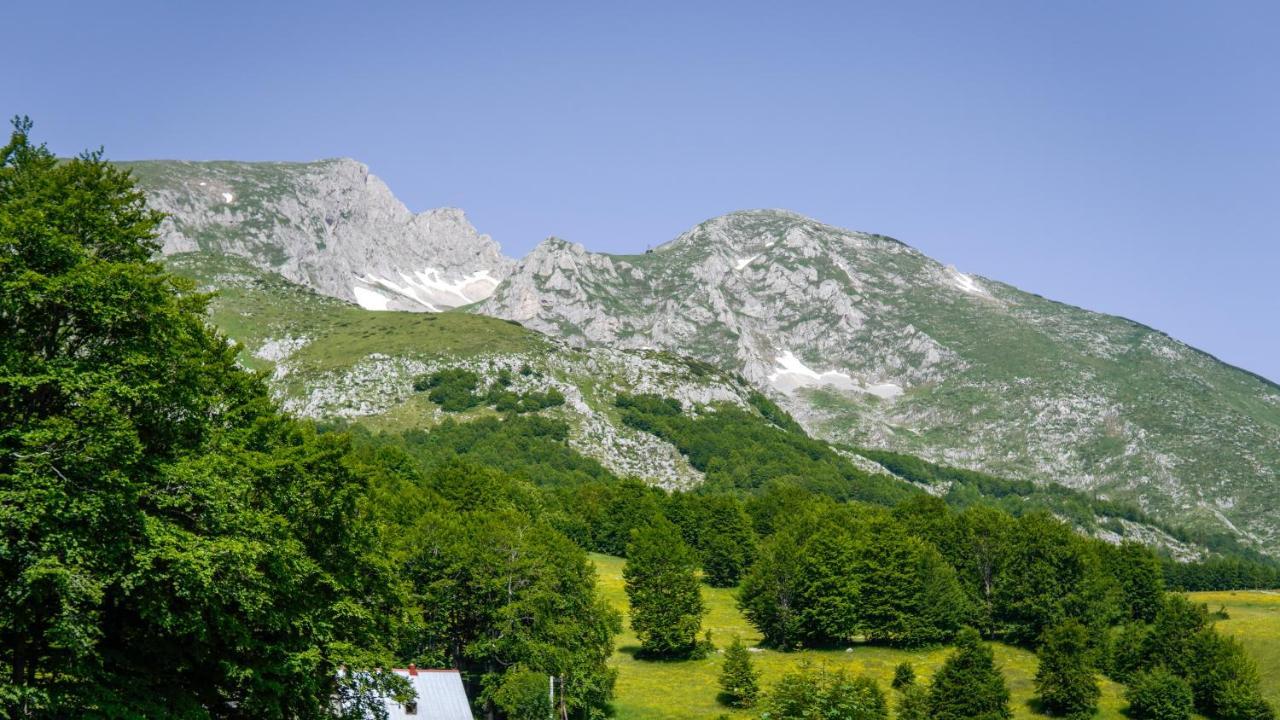 Mountain House Drveni Raj Villa Žabljak Kültér fotó